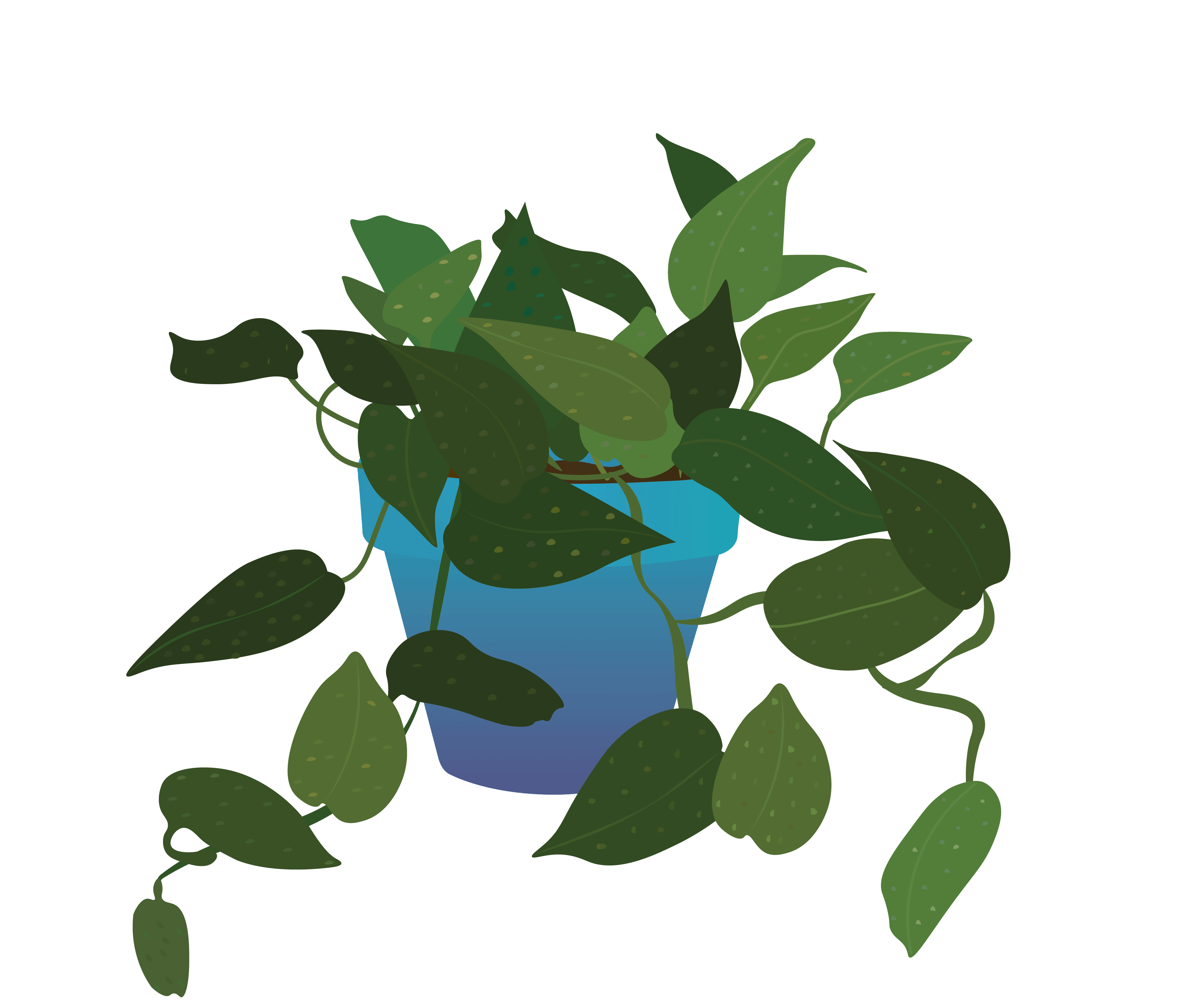 plant-illustrations-18-2